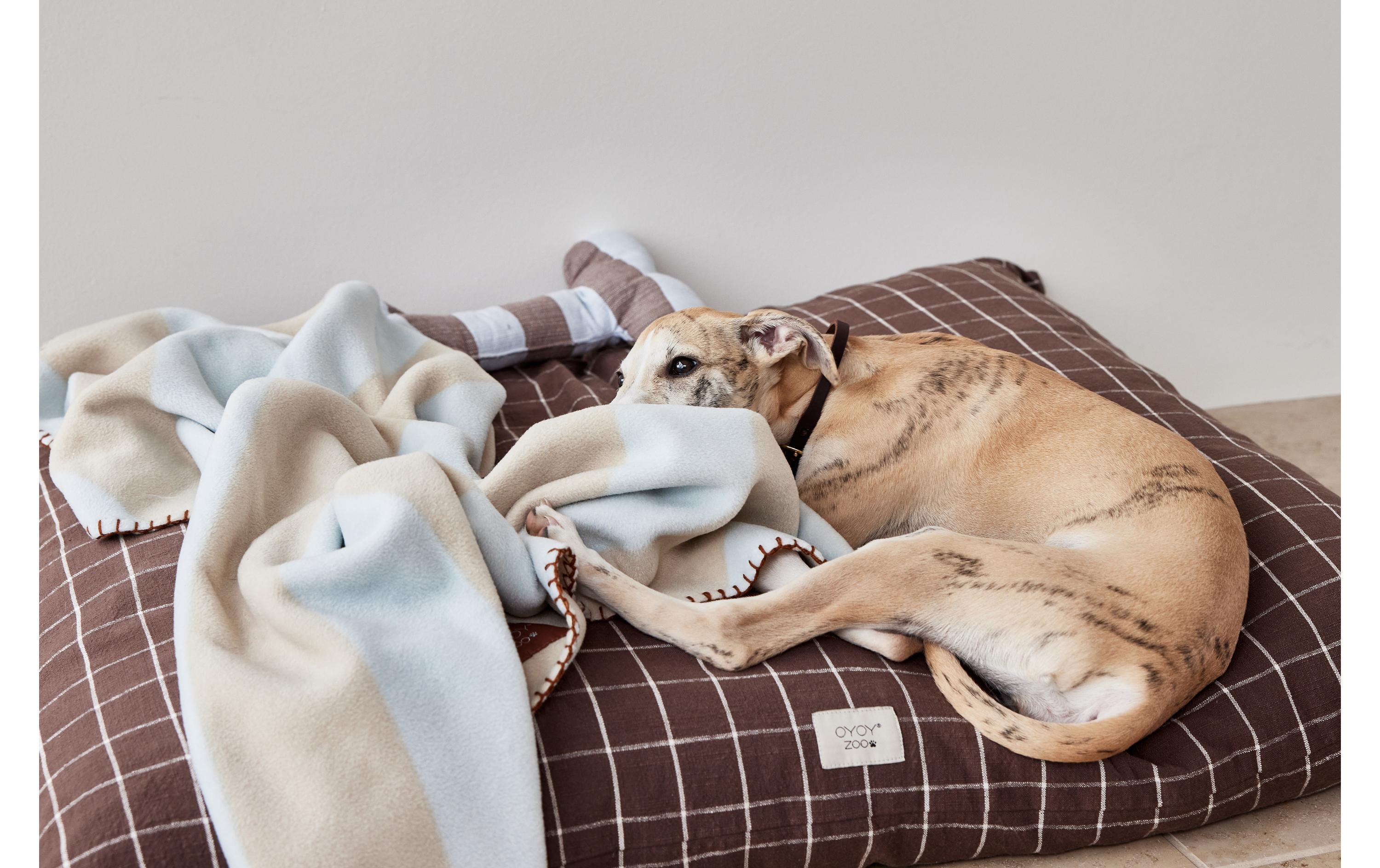 Hunde-Decke Kaya, L, IceDecke