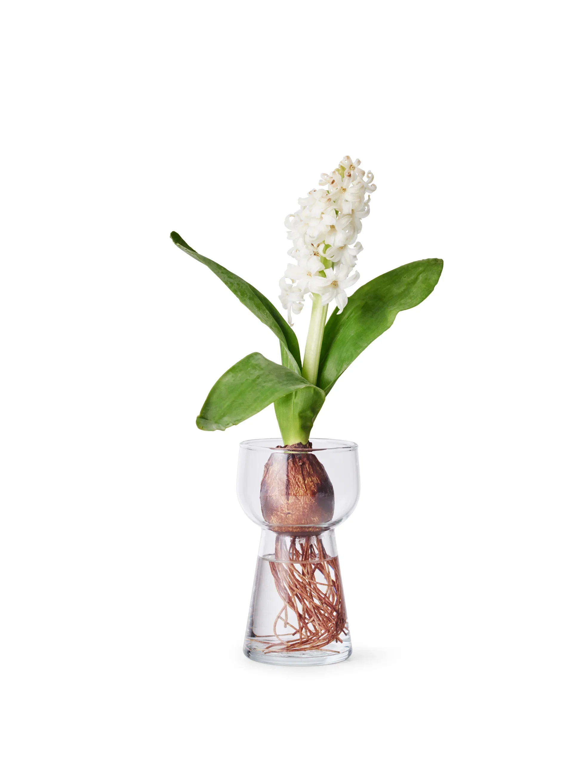Svibelvase Høyde 14 cm
