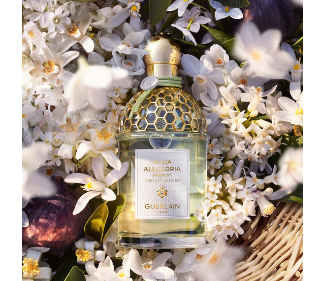 Guerlain Aqua Allegoria Nerolia Vetiver Harvest Eau de Toilette
