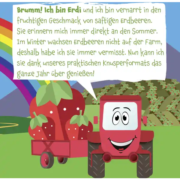 Bio Erdbeere Fruchtchips