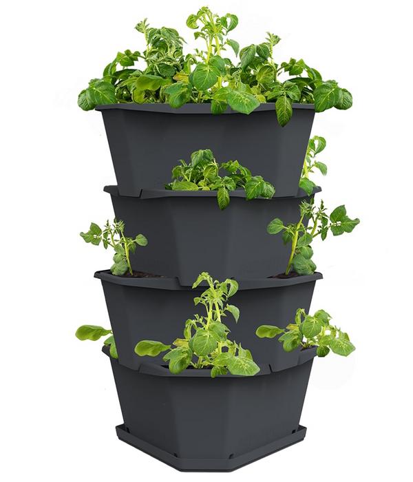 Gusta Garden Kartoffelturm Paul Potato