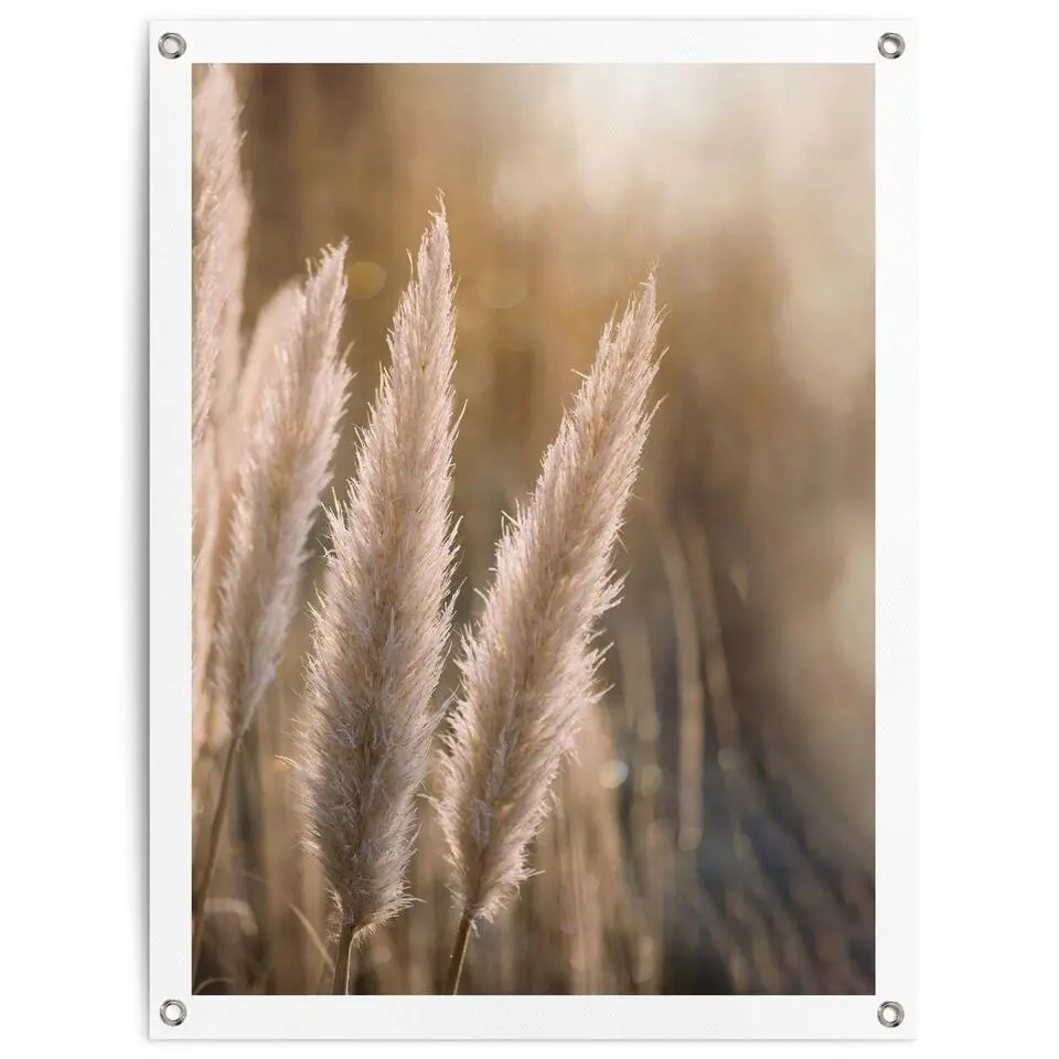 Tuinposter Pampas - 80x60cm - Beige