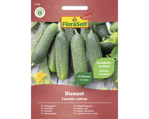 Augurk Diamant FloraSelf Select F1 hybride groentezaden