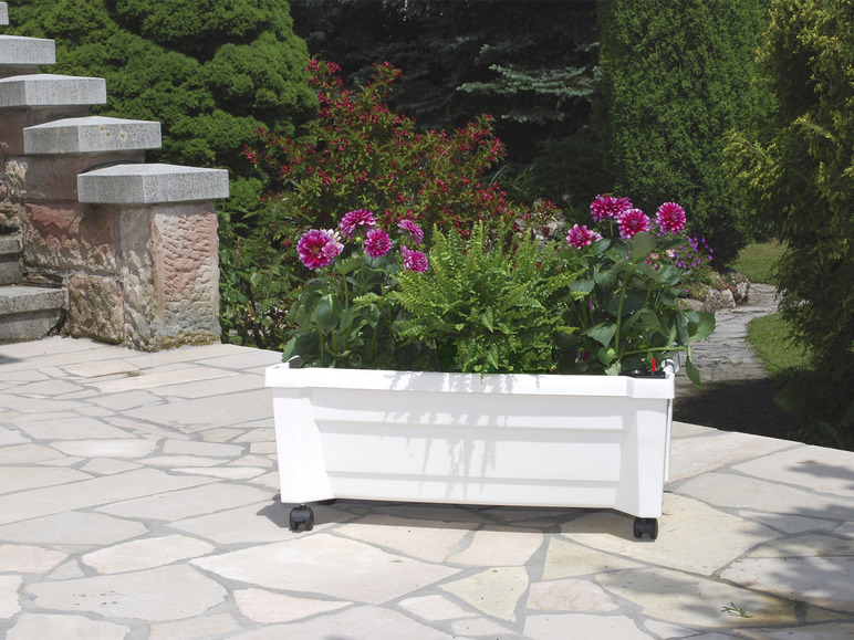 Plantenbak met wielen