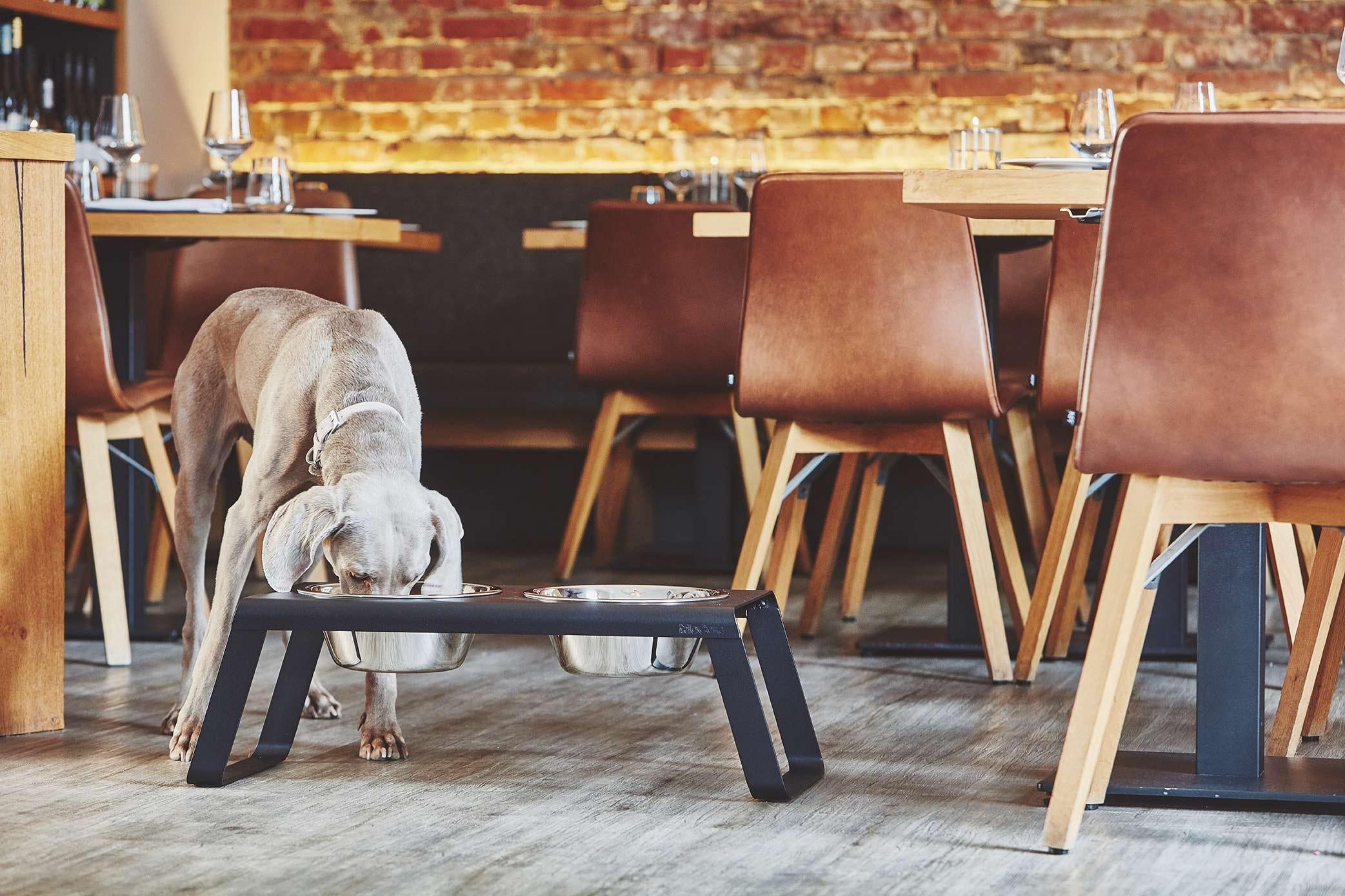 Desco hondenvoerbak medium essen zwart