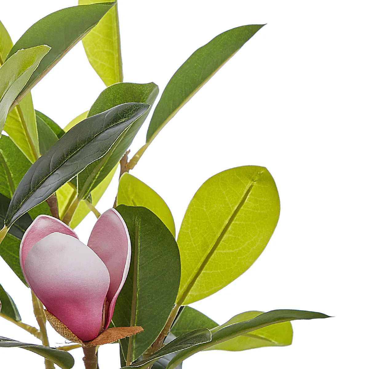 BELIANI MAGNOLIA 70 cm Vert