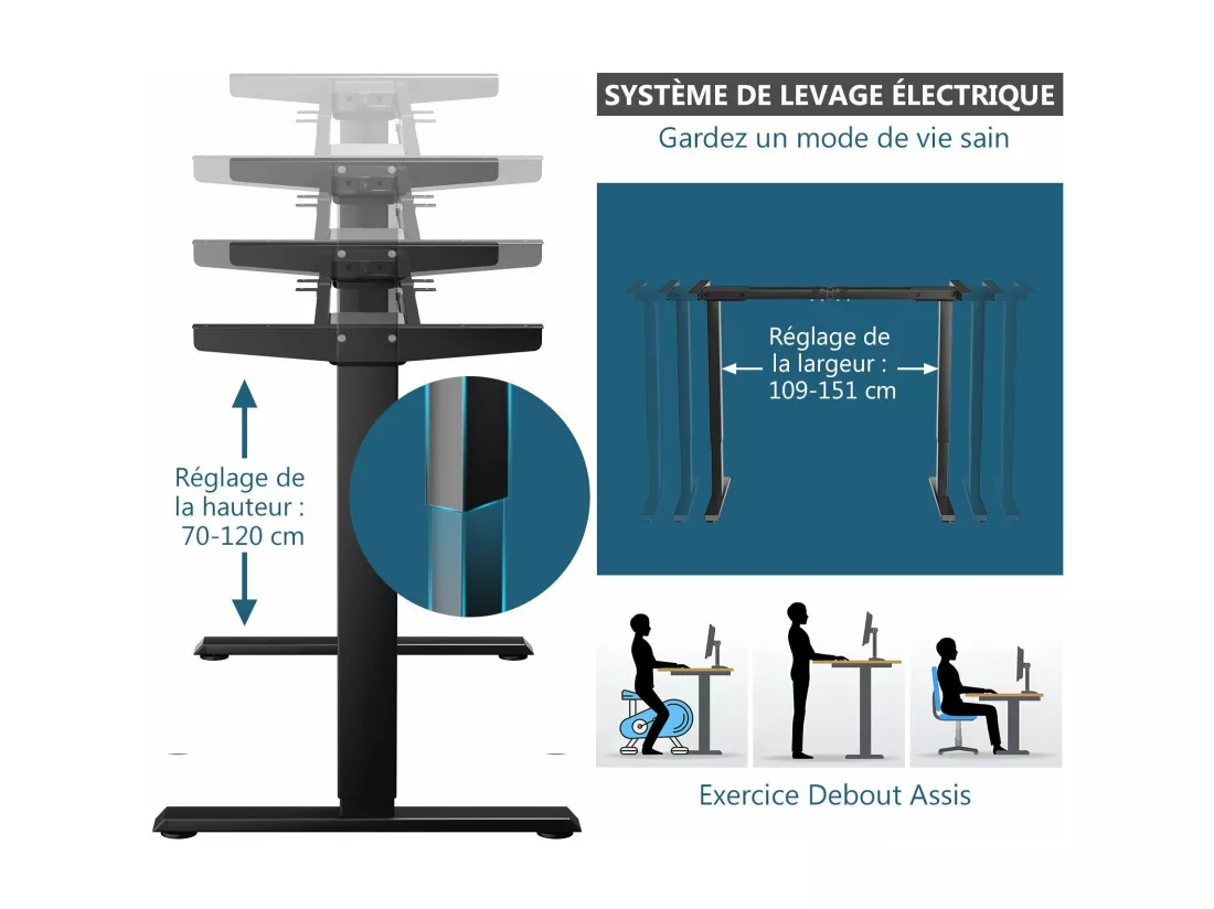 Bureau Assis-Debout Électrique à 2 Moteurs, Cadre de Bureau avec Largeur et Hauteur Réglables, Panneau de Contrôle à 4 Boutons de Mémoires, Dispositif Anti-Collision (Noir)