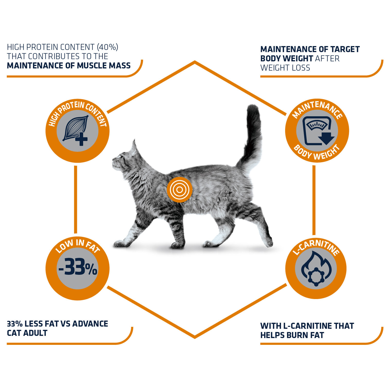 Affinity Advance Veterinary Diets Weight Balance Kat