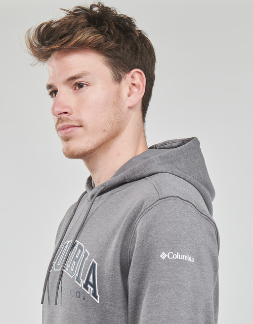 Columbia - CSC BASIC LOGO II HOODIE - Gris