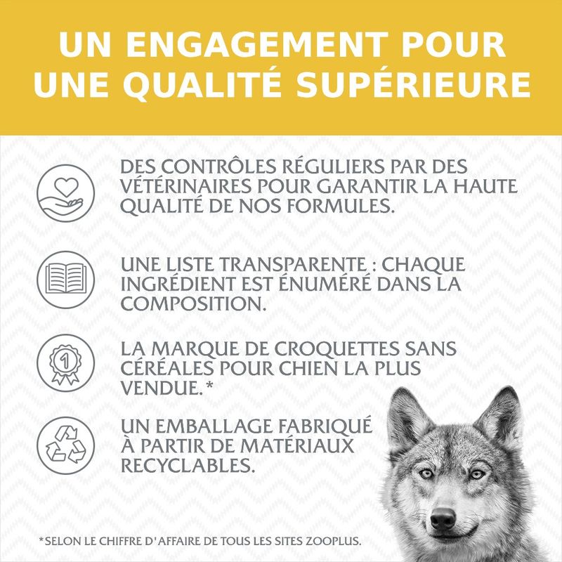 Wolf of Wilderness Adulte Sunny Glade, cerf