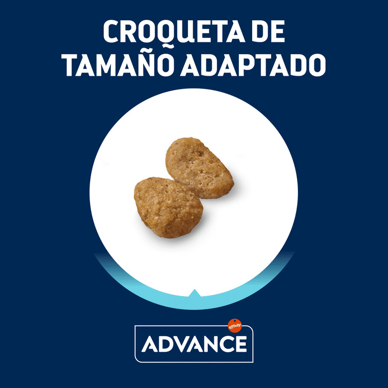 Ração esterilizada Advance Junior para gatos