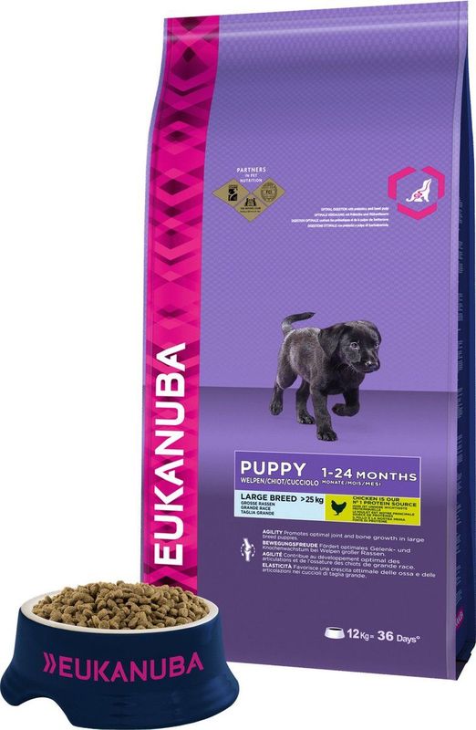 Eukanuba Dog Puppy Large Breed Chicken - 12 KG
