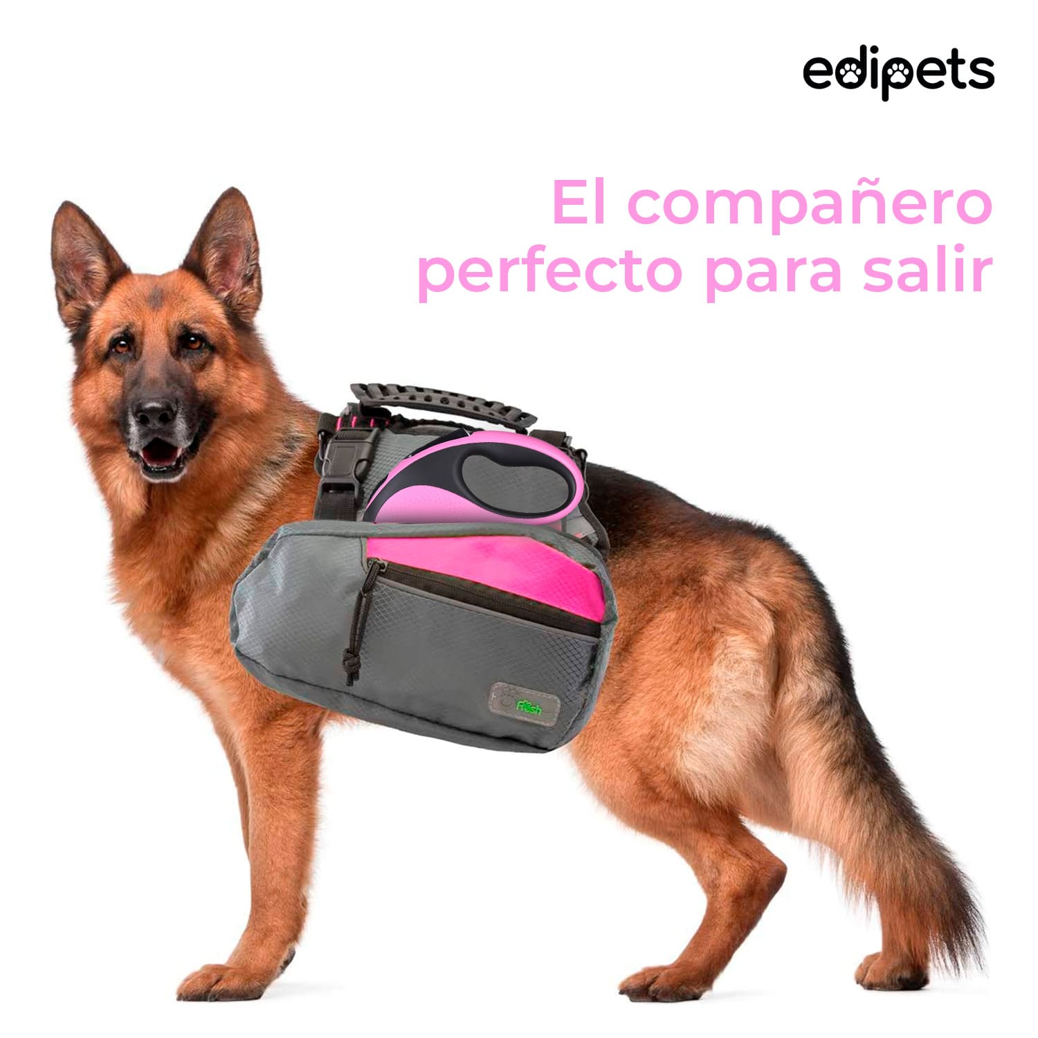Guia extensível Edipets com sistema de freio, rosa, para cães.