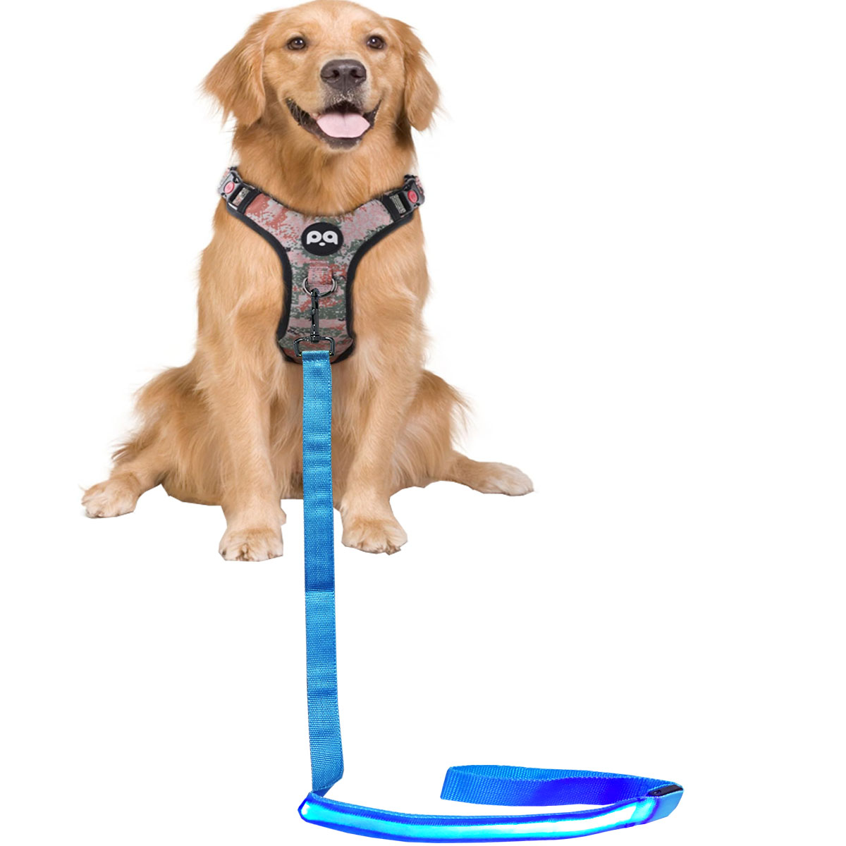 (110cm) LED Nylon Hunde Leine USB Hundeleine mit 3 Leucht Modi   Handschlaufe - Blau