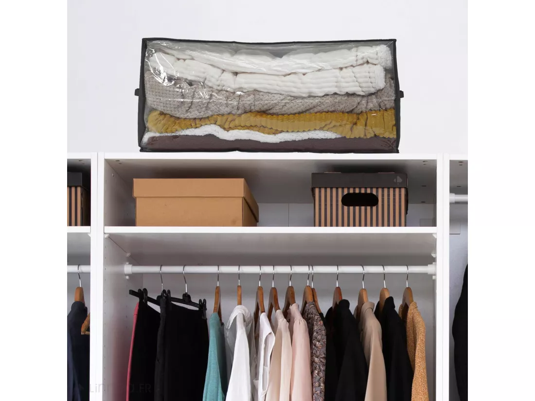 Boîte de rangement 60x45x30 cm pliable noire avec fenêtre transparente