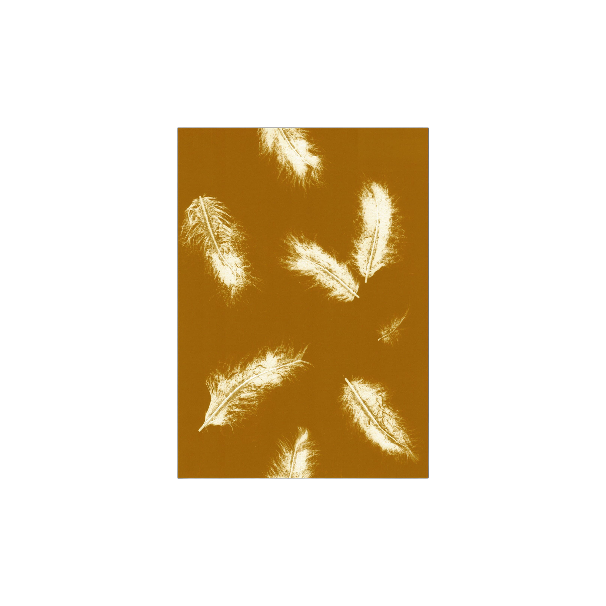 Plakat Feather Dark Mustard 40 x 50 | Pernille Folcarelli. | Multi | Poster and Frame