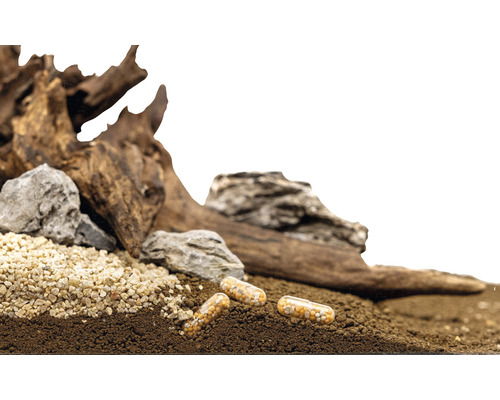 DENNERLE PLANTS Power Caps aquariumplantenmeststof, 25 capsules: wortelmeststof met stikstof, fosfor, ijzer en micronutriënten.