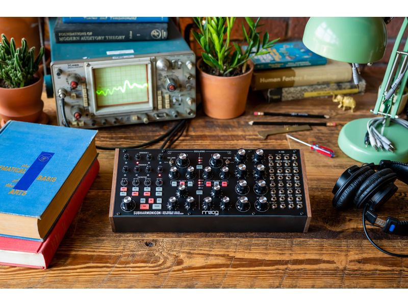 Moog Synthesizer Subharmonicon Semimodularer analoger Polyrhythmussynthesizer