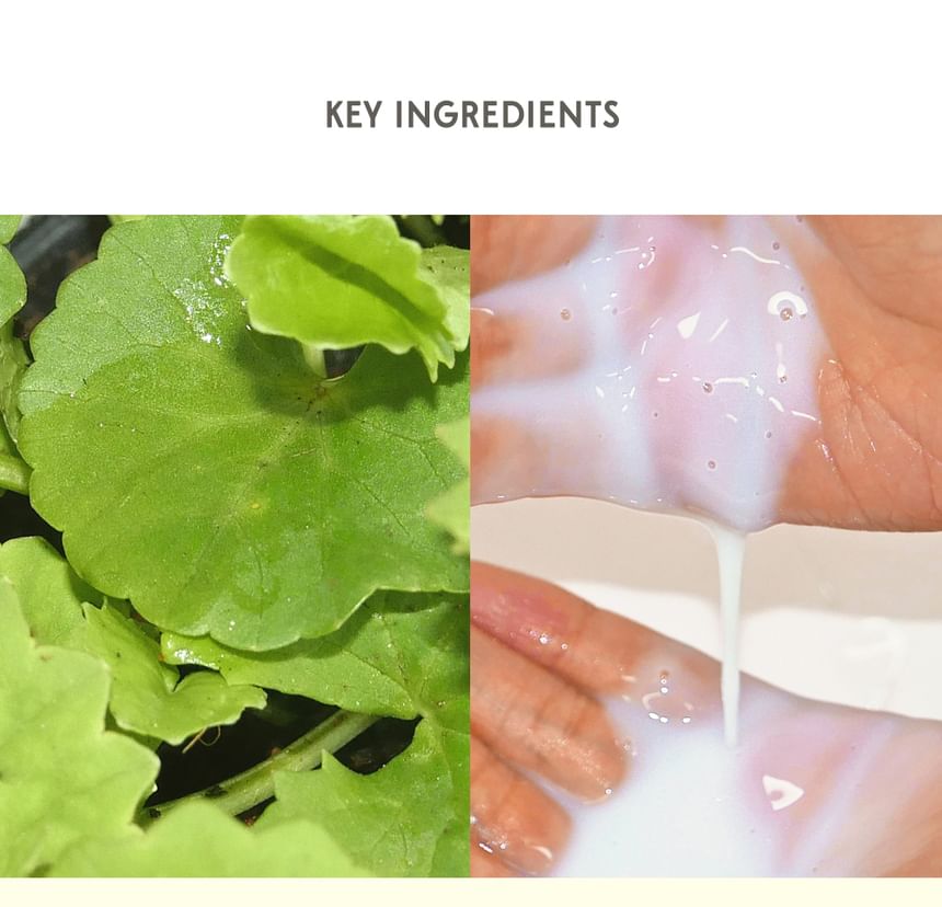 Barr - Cera Intensieve Barrière Toner
