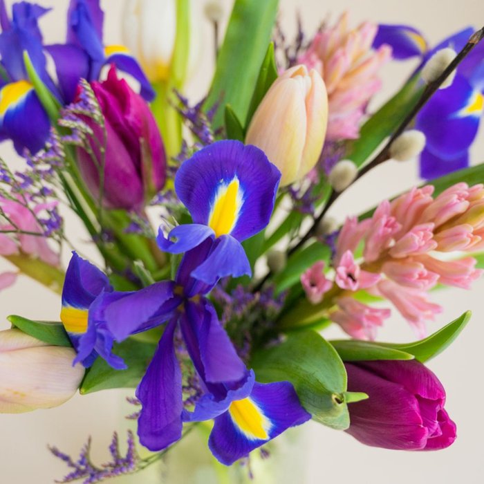 Brievenbusbloemen | Lente | Voorjaarsmix