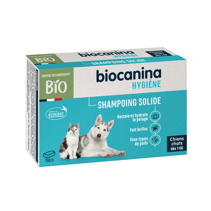 Shampoing solide
