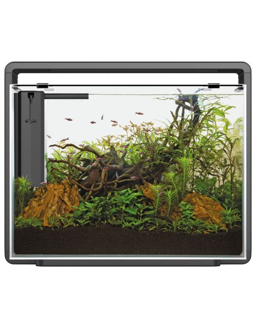Superfish Home 85 Aquarium 65x31x53 cm - Aquaria