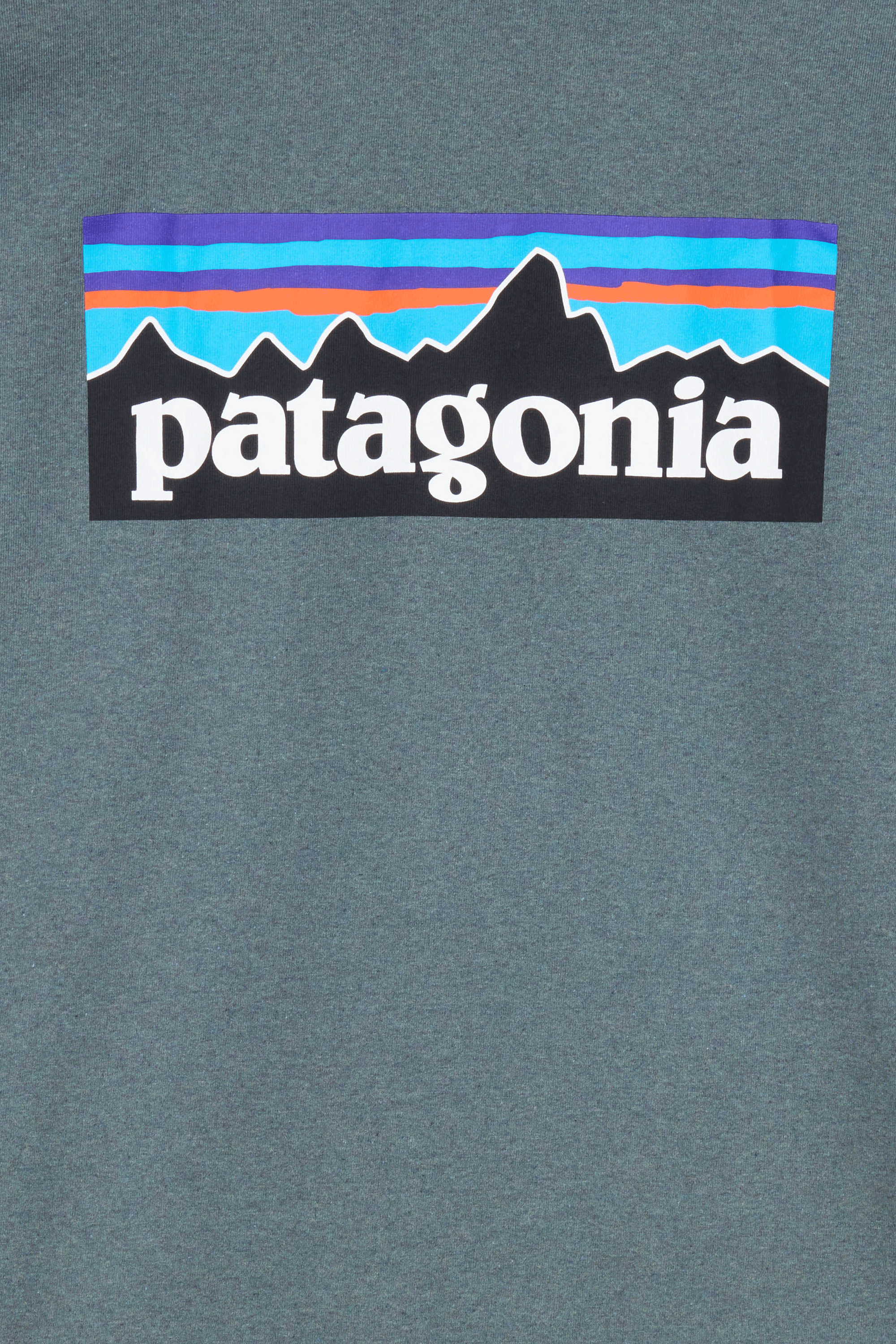 PATAGONIA T-shirt Vert