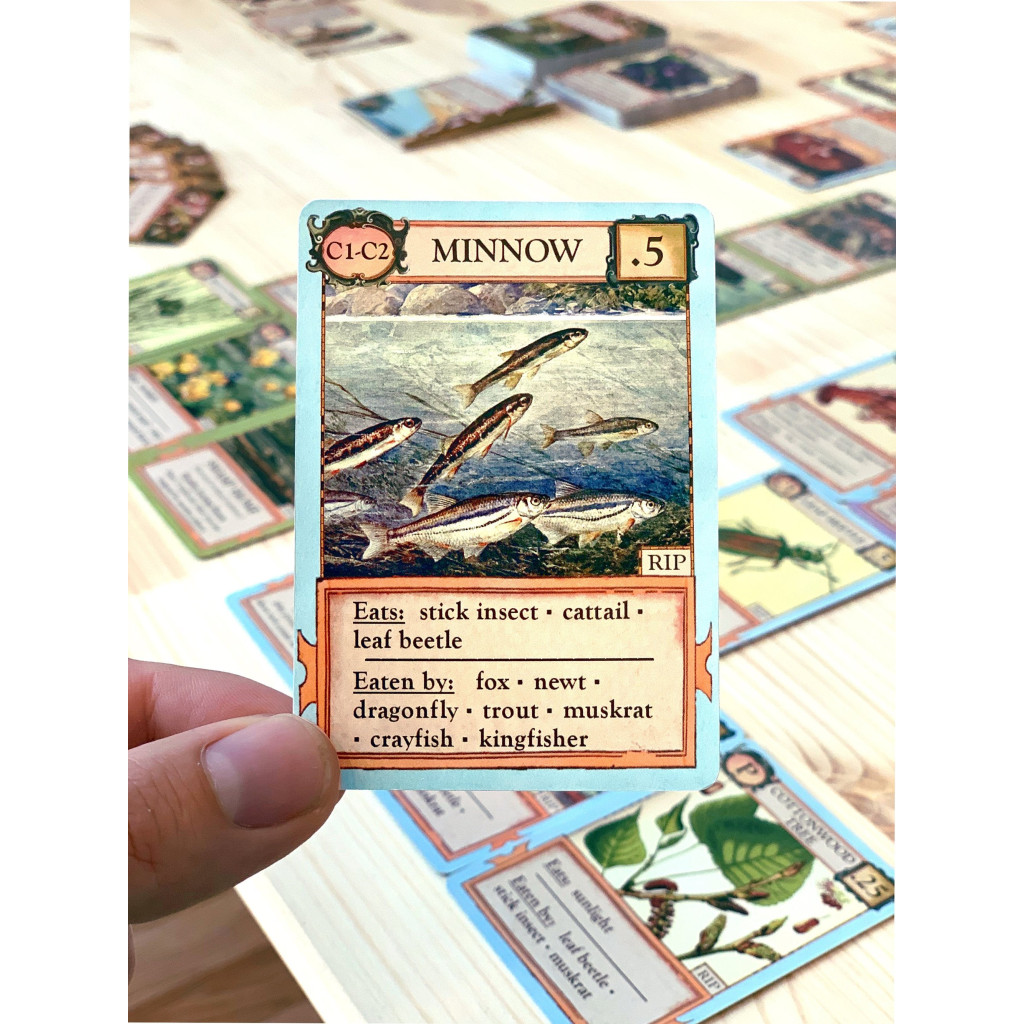 Ecologies - Bizarre Biomes