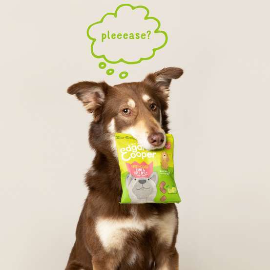 Bonbecs à l'agneau & bœuf pour chien 50g