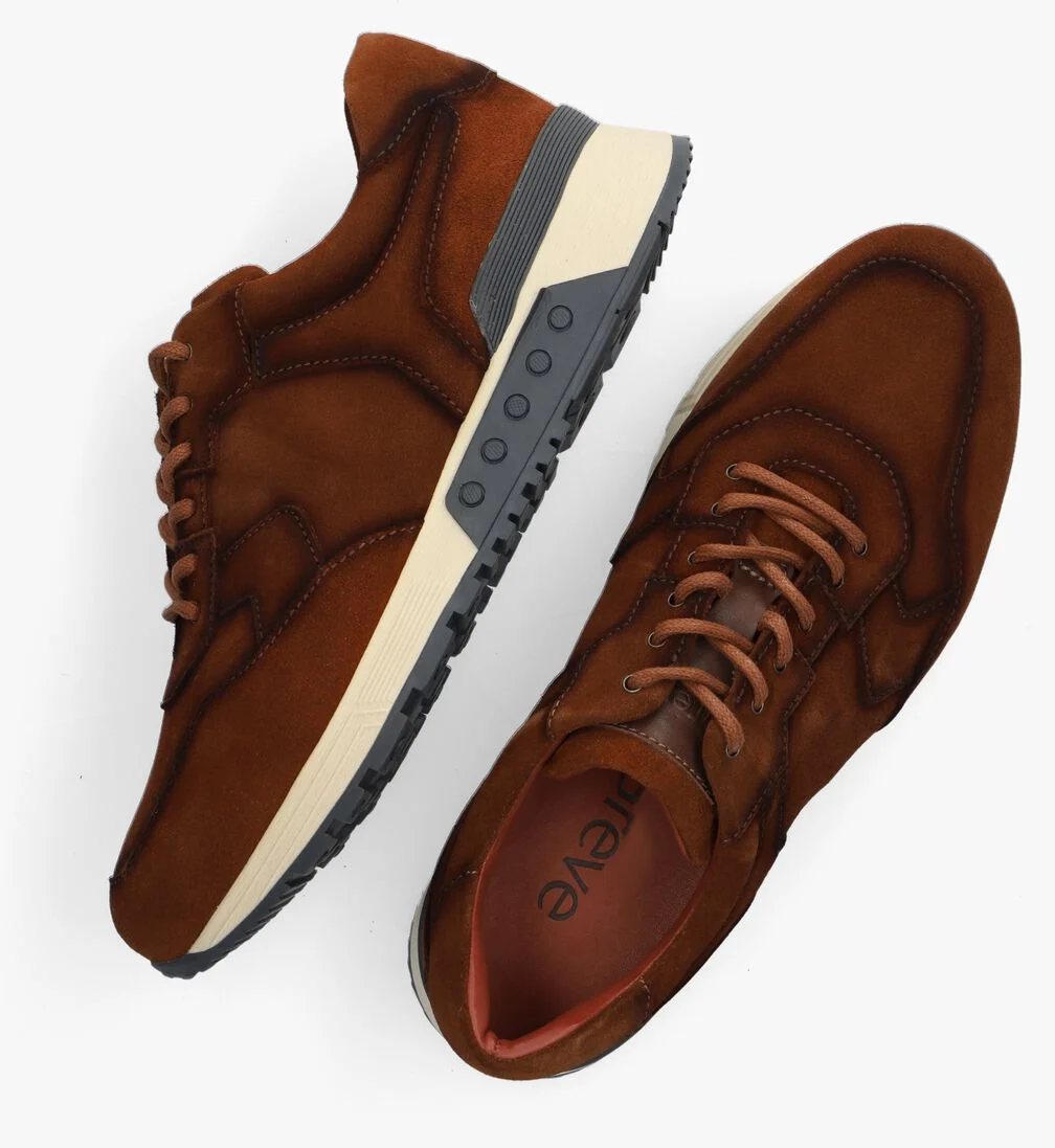 GREVE bruine greve lage sneakers haarlem k