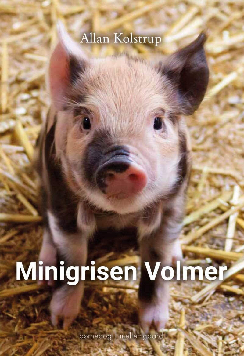 Minigrisen Volmer - Allan Kolstrup - Bog