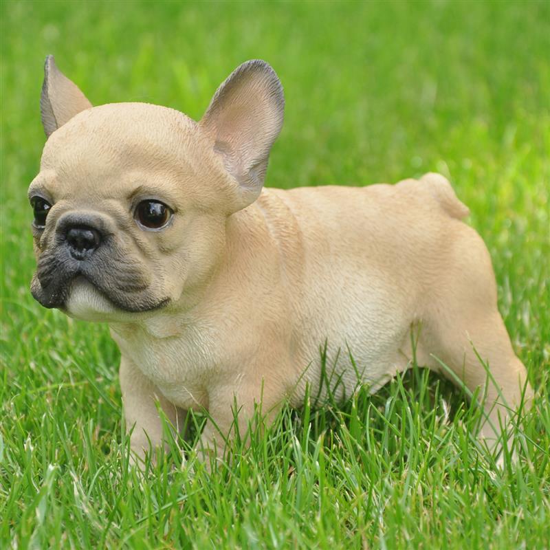 Dazikemo Dekofigur Gartenfigur Französische Bulldogge braun