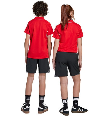 adidas Performance Shorts - Tiro25C - Black/Tegrfo