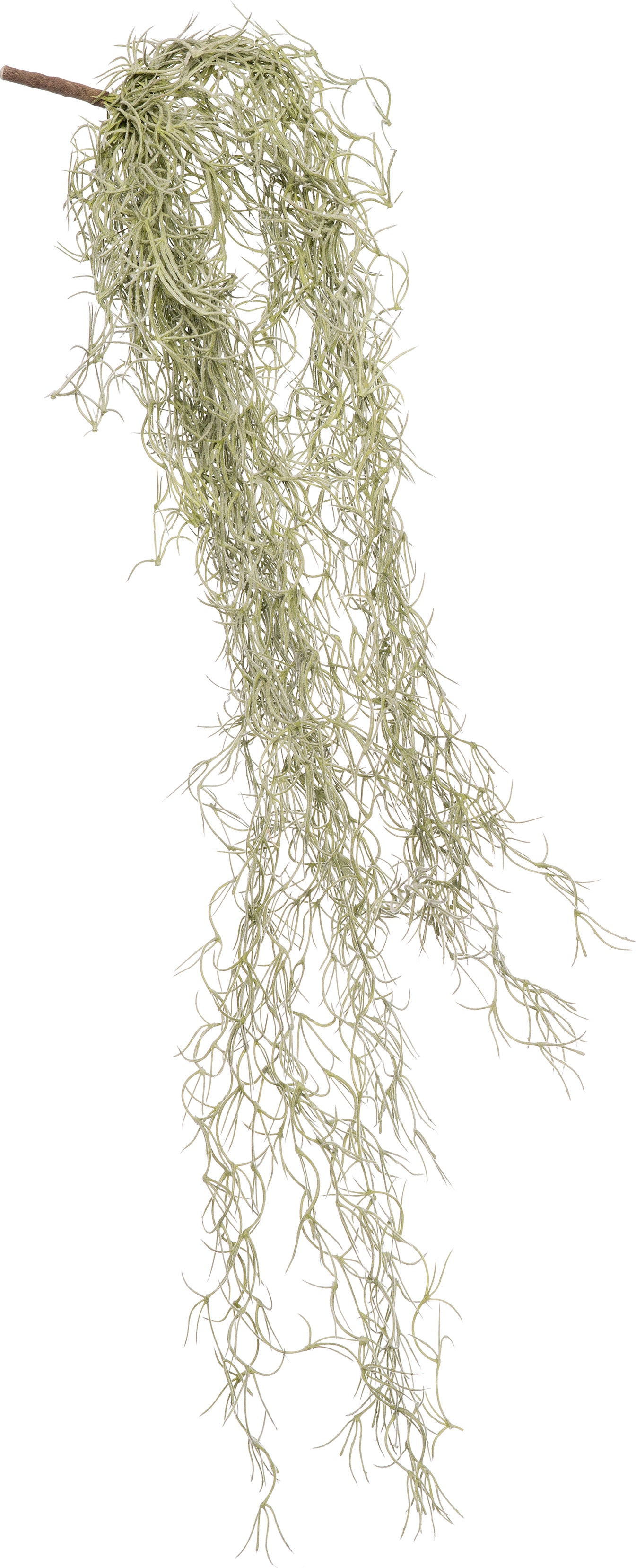 Intratuin kunsttak Tillandsia H 74 cm