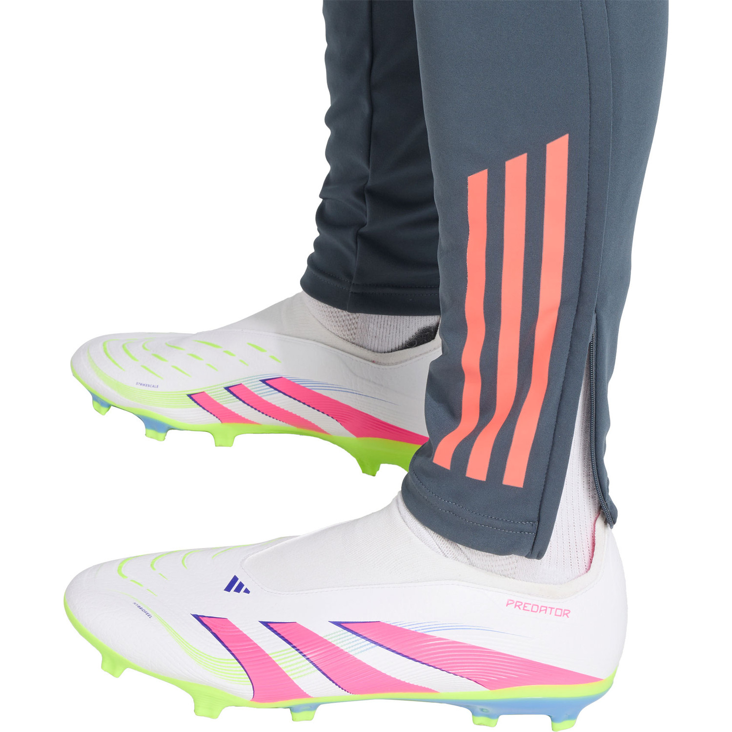 adidas Bayern München Trainingspak