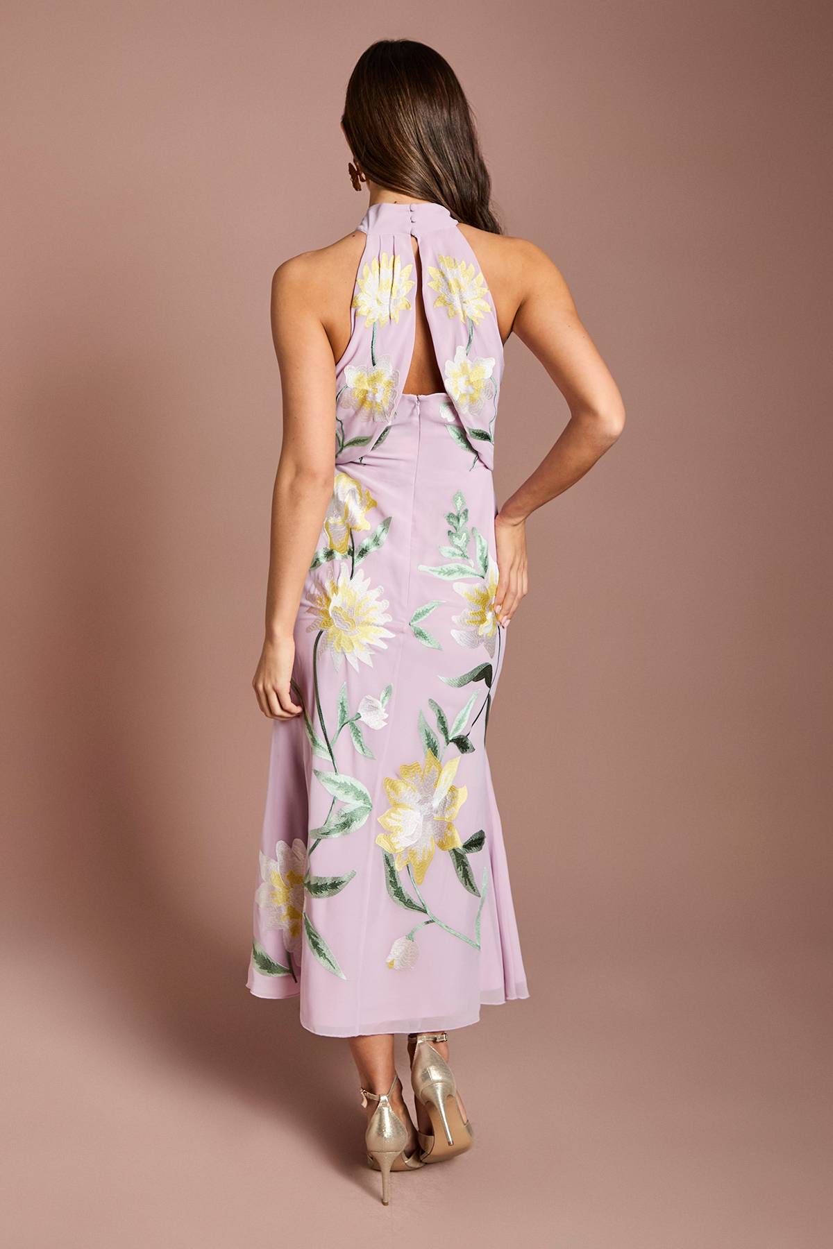 Coast Robe Midi À Col Montant Avec Broderie Florale