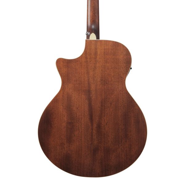 Ibanez AE100-DBF
