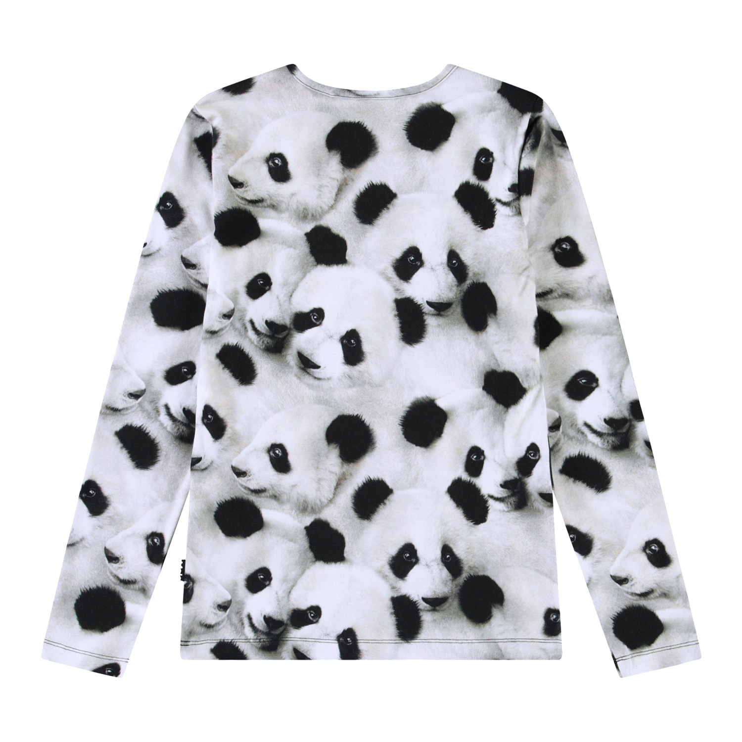 Rose - Giant Panda