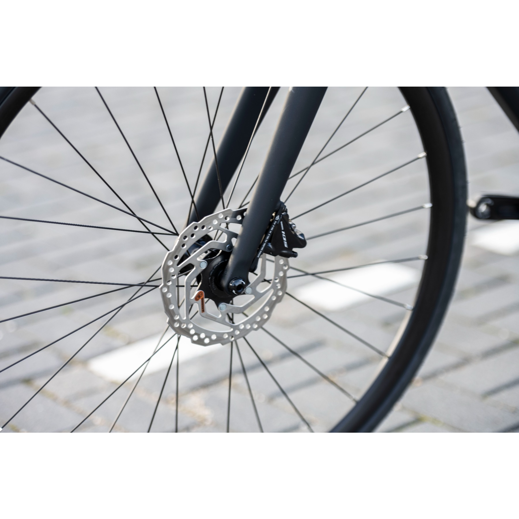 Sensa Modena LTD 105 Disc 2025