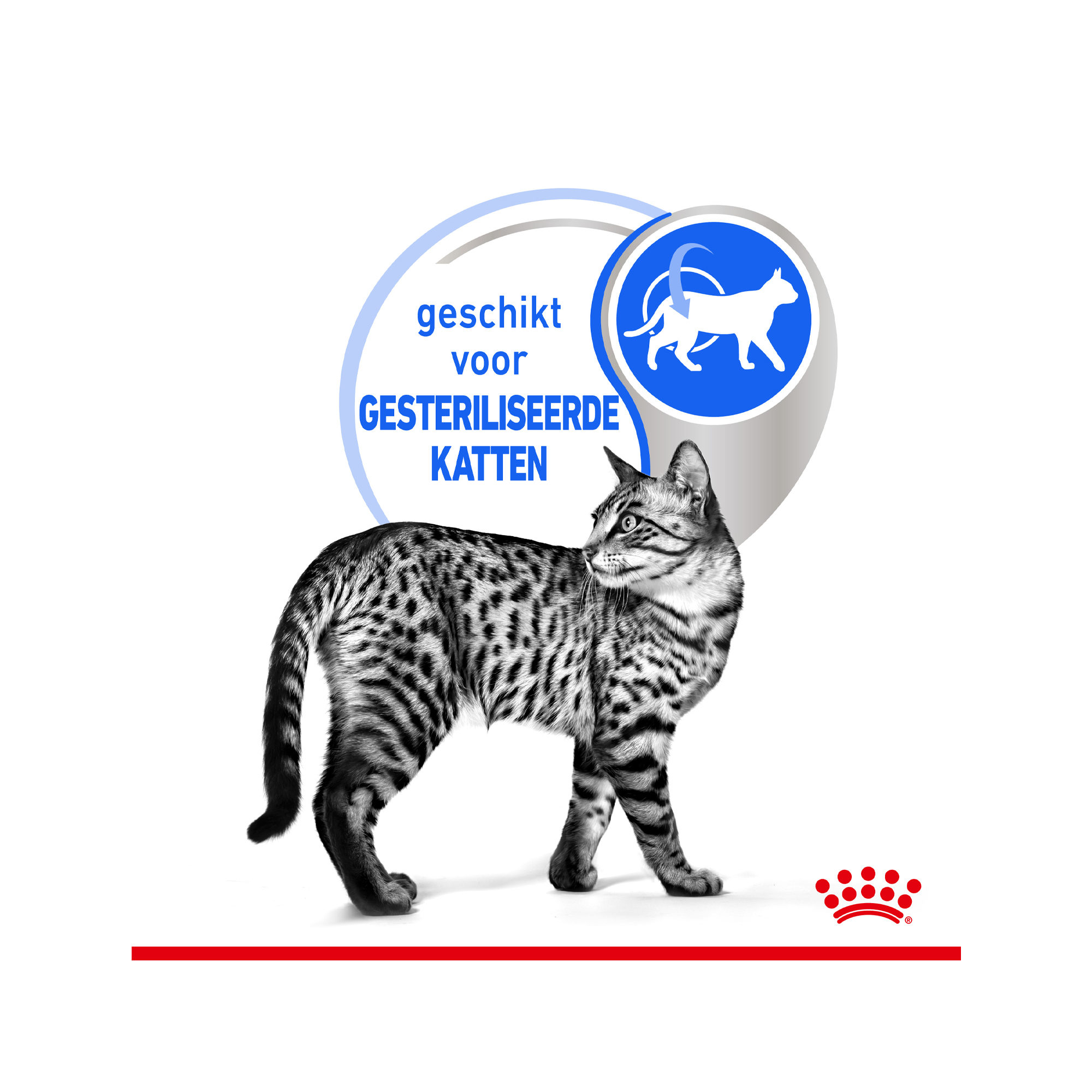 Royal Canin Sterilised Indoor in Jelly - Kattenvoer