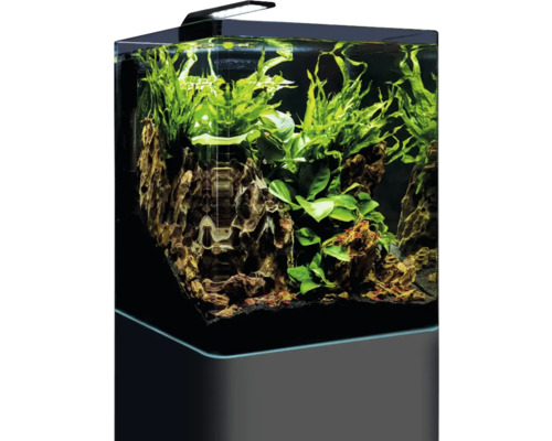DENNERLE Nano Cube Compleet aquarium, 30 L, LED-verlichting Chihiros C 251 inclusief binnenfilter, afdekglas, veiligheidsmat, Scaper's Back achterwandfolie, beginnersbrochure, bodemgrond, grind en thermometer