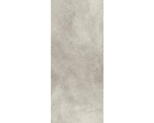 Porseleinen wand- en vloertegel Montreal 120 x 280 x 0,6 cm zilver mat