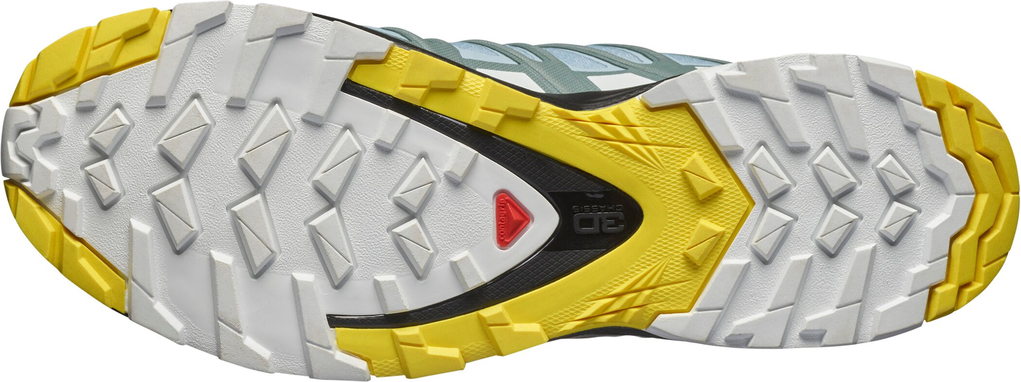 Salomon XA Pro 3D v8 GTX