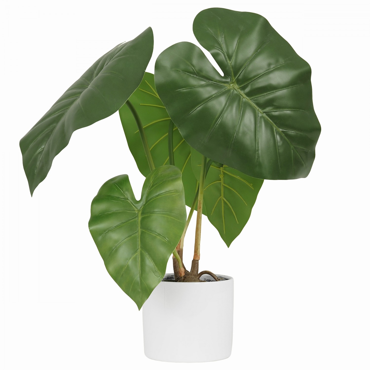 Plante taro artificiel en pot céramique 55cm