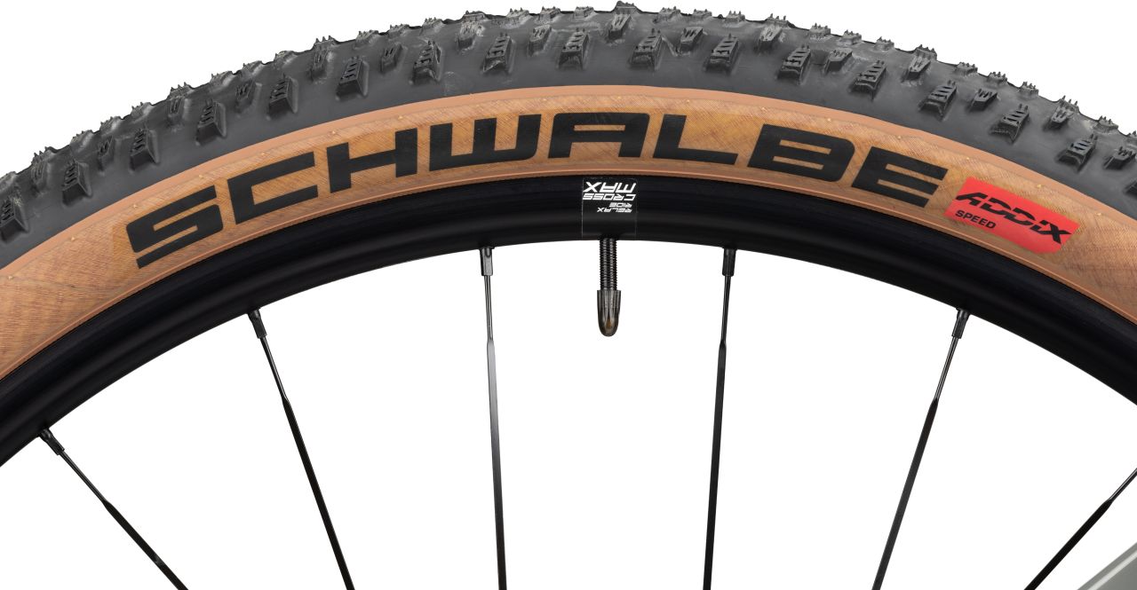 Radon Jealous 8.0 kaufen | Bike-Discount