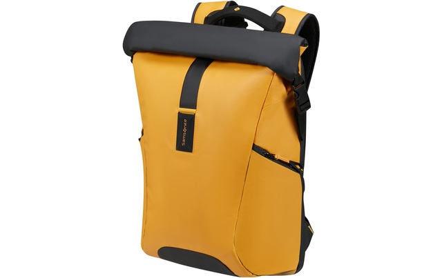 Samsonite Freizeitrucksack »Paradiver Light Backpack L 25 l«