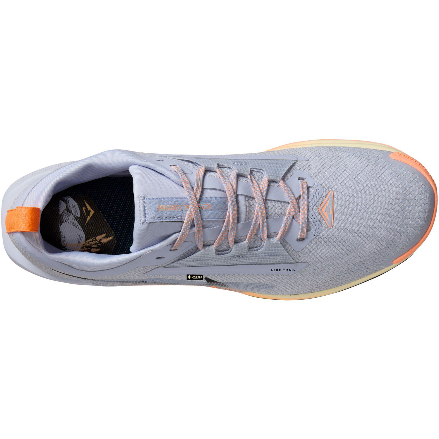 Nike Pegasus Trail 5 GTX Heren