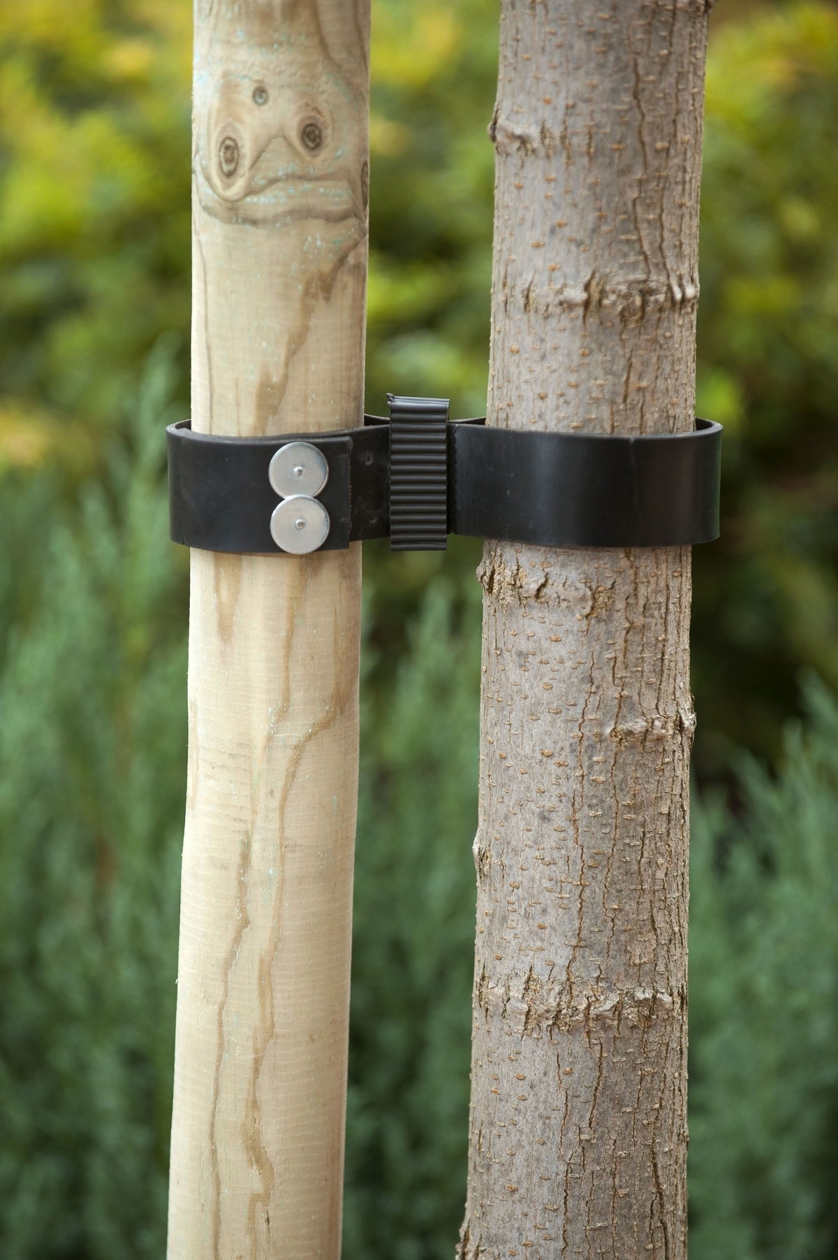 Nature spijkerboomband breed 90x3,8cm