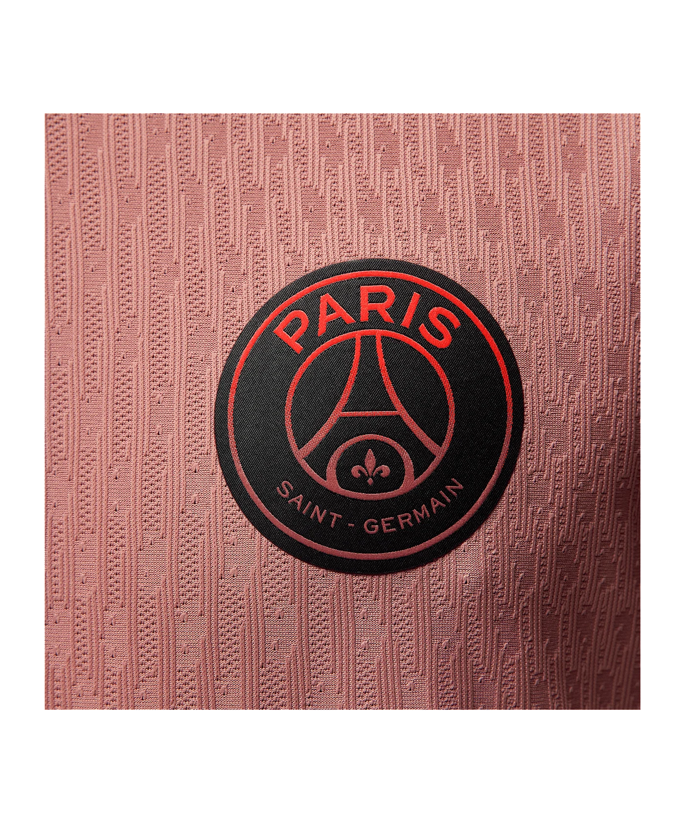 Jordan Paris St. Germain Auth. Trikot UCL 2024/2025 Pink F686