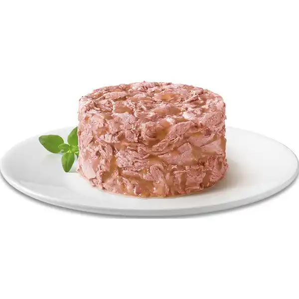Gold raffiniertes Ragout mit Thunfisch